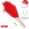 9 Stems Red Pampas Grass – 38 Inch Tall Fluffy Faux Pampas for Living Room, Wedding Centerpieces & Home Décor